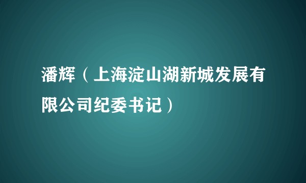 潘辉（上海淀山湖新城发展有限公司纪委书记）