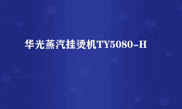 华光蒸汽挂烫机TY5080-H