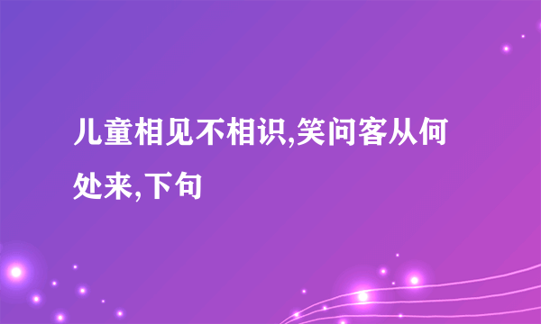 儿童相见不相识,笑问客从何处来,下句