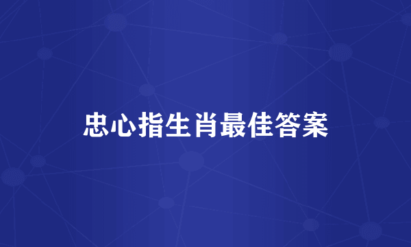 忠心指生肖最佳答案