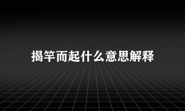 揭竿而起什么意思解释