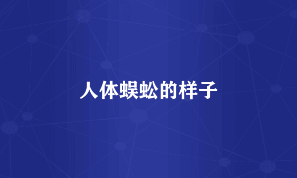 人体蜈蚣的样子
