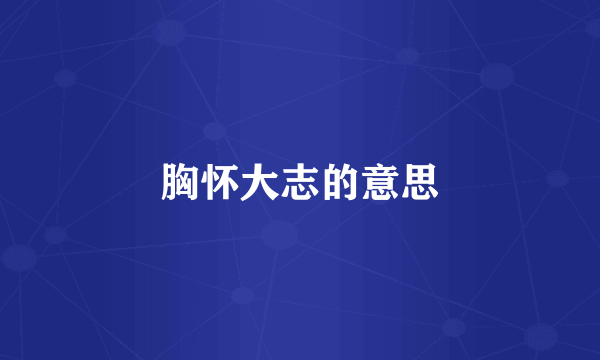 胸怀大志的意思