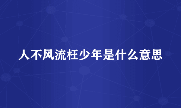 人不风流枉少年是什么意思
