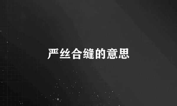严丝合缝的意思