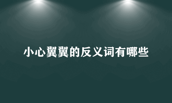 小心翼翼的反义词有哪些