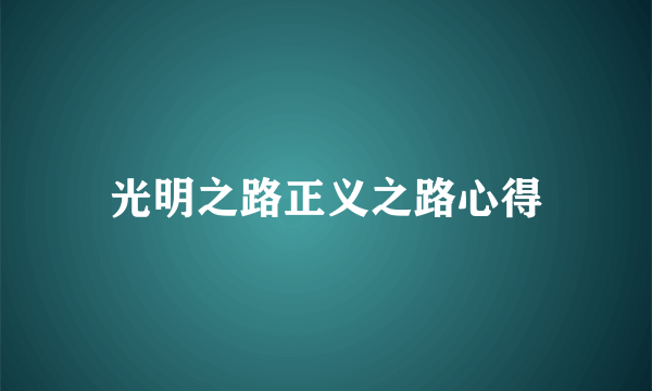 光明之路正义之路心得