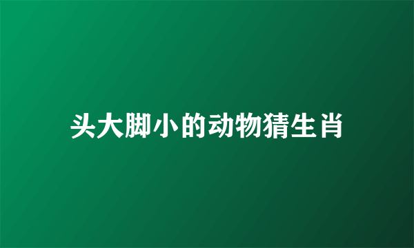 头大脚小的动物猜生肖