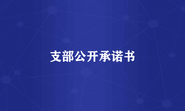 支部公开承诺书