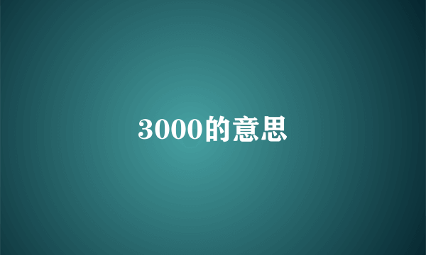3000的意思