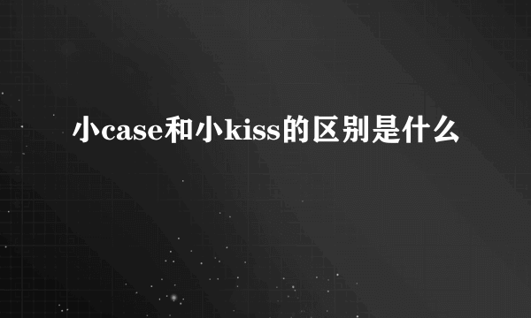 小case和小kiss的区别是什么