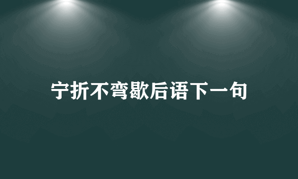 宁折不弯歇后语下一句