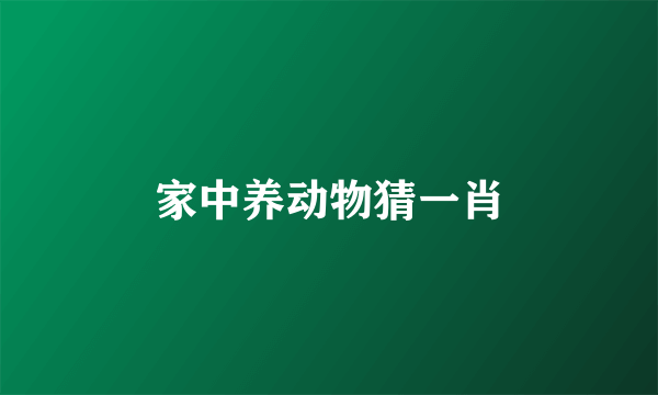 家中养动物猜一肖