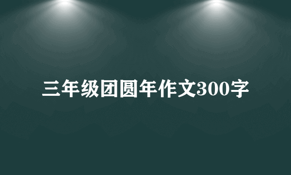 三年级团圆年作文300字