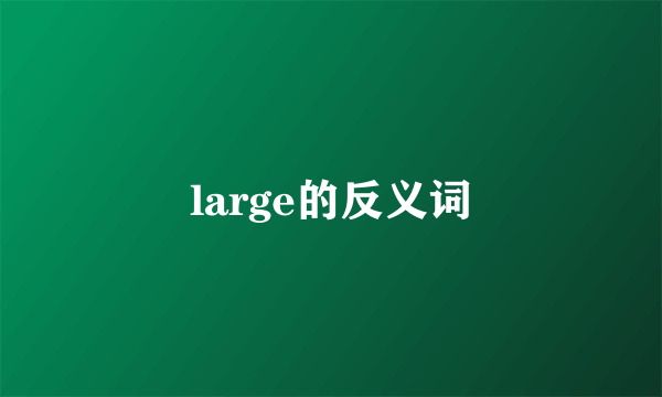 large的反义词