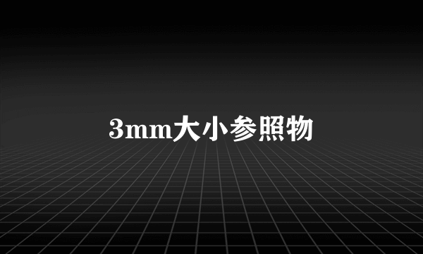 3mm大小参照物