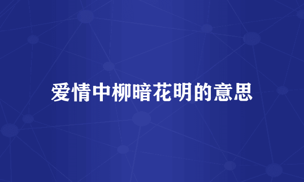 爱情中柳暗花明的意思
