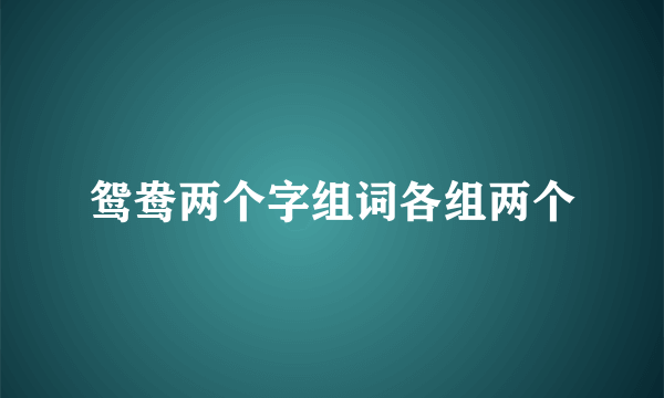 鸳鸯两个字组词各组两个