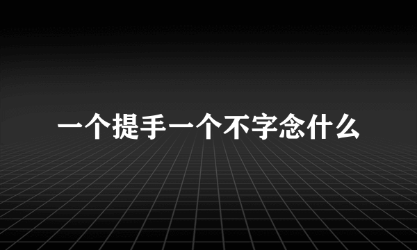 一个提手一个不字念什么