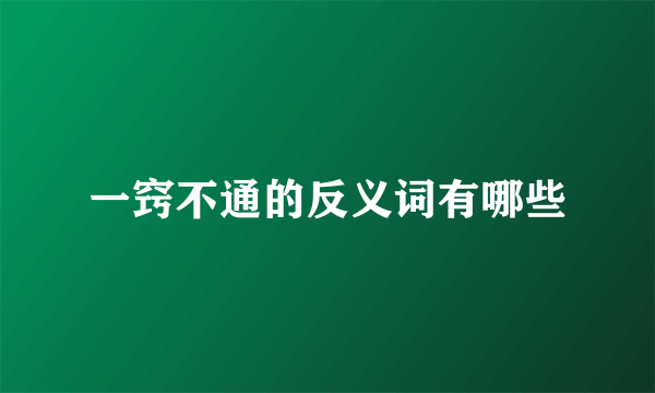 一窍不通的反义词有哪些