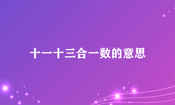 十一十三合一数的意思