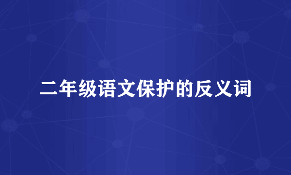 二年级语文保护的反义词