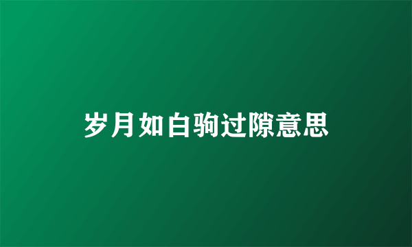 岁月如白驹过隙意思