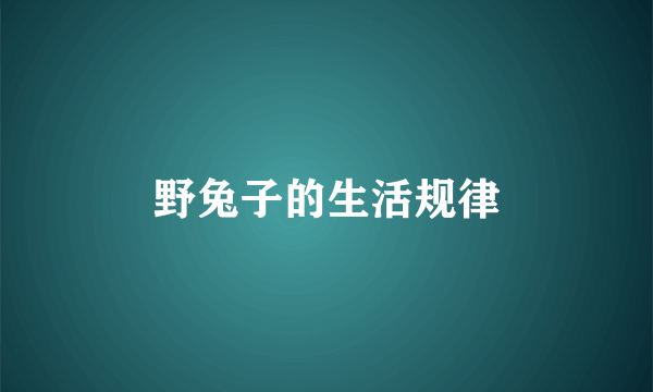 野兔子的生活规律