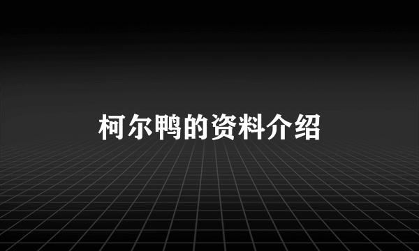 柯尔鸭的资料介绍