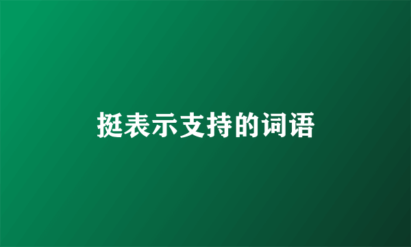 挺表示支持的词语