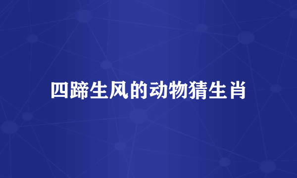 四蹄生风的动物猜生肖