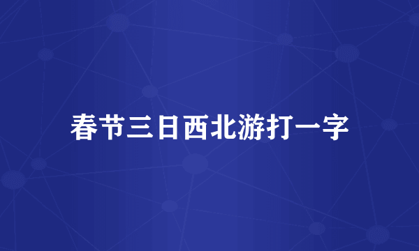 春节三日西北游打一字