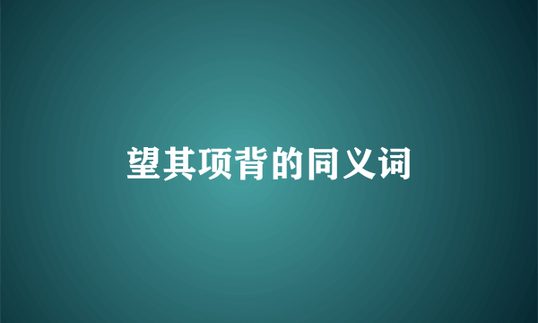 望其项背的同义词