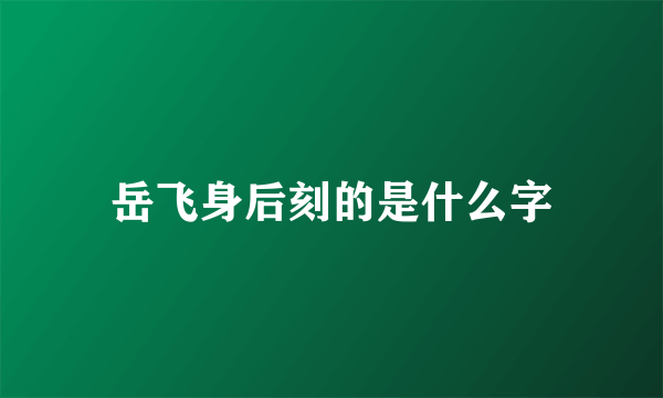 岳飞身后刻的是什么字