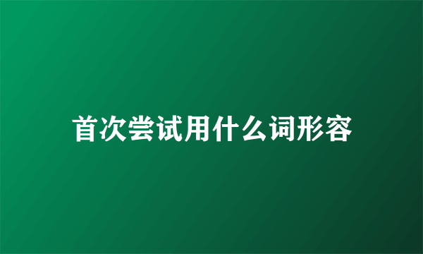 首次尝试用什么词形容