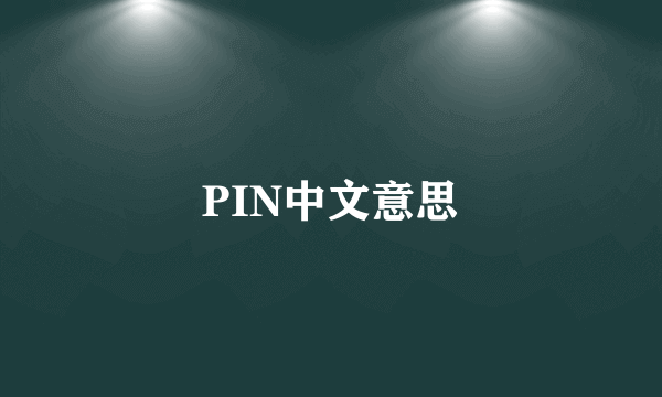 PIN中文意思