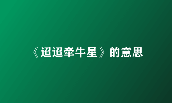 《迢迢牵牛星》的意思