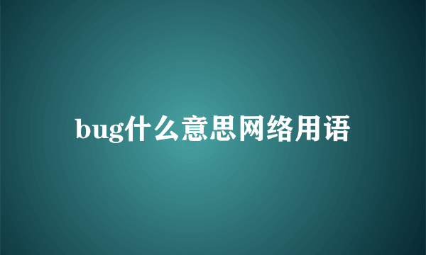 bug什么意思网络用语
