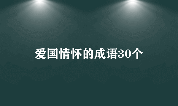 爱国情怀的成语30个