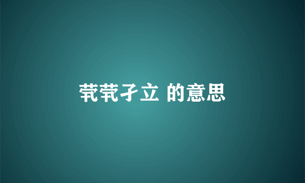 茕茕孑立 的意思