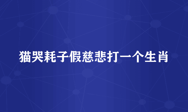 猫哭耗子假慈悲打一个生肖