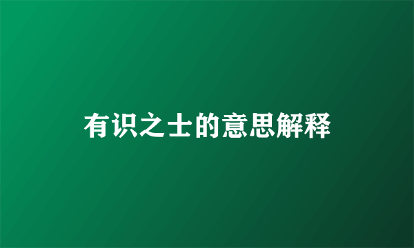 有识之士的意思解释
