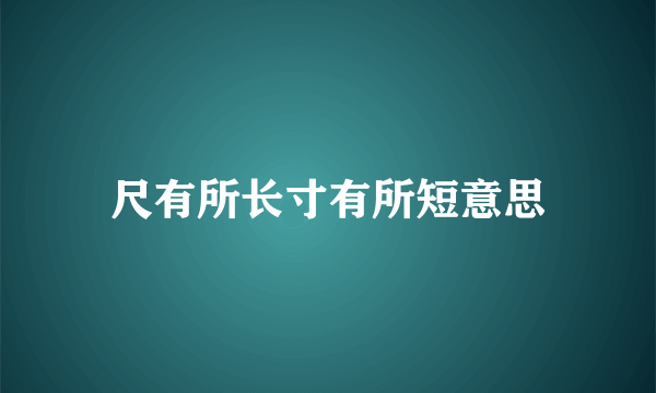 尺有所长寸有所短意思