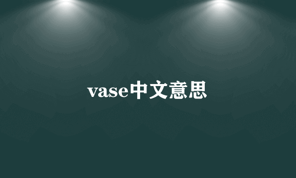 vase中文意思