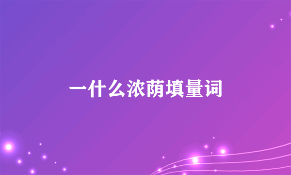 一什么浓荫填量词