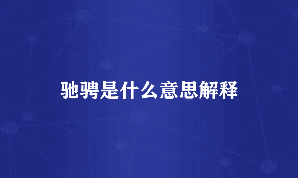 驰骋是什么意思解释