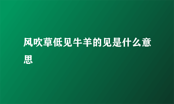 风吹草低见牛羊的见是什么意思