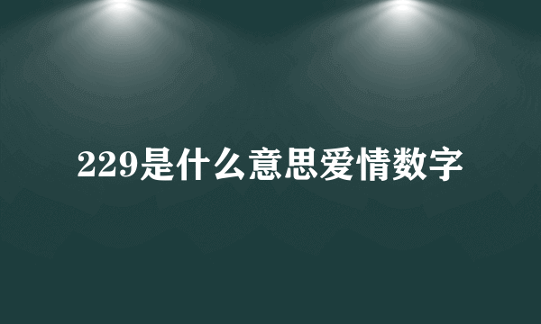 229是什么意思爱情数字