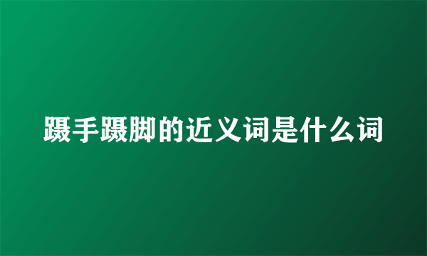 蹑手蹑脚的近义词是什么词