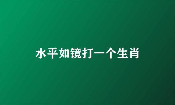 水平如镜打一个生肖